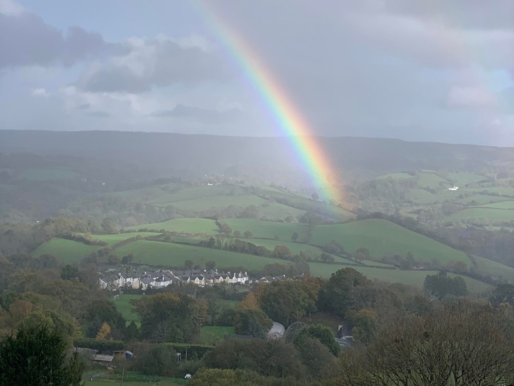 In Praise of Cruffins, Recycling and Bovey&nbsp;Tracey