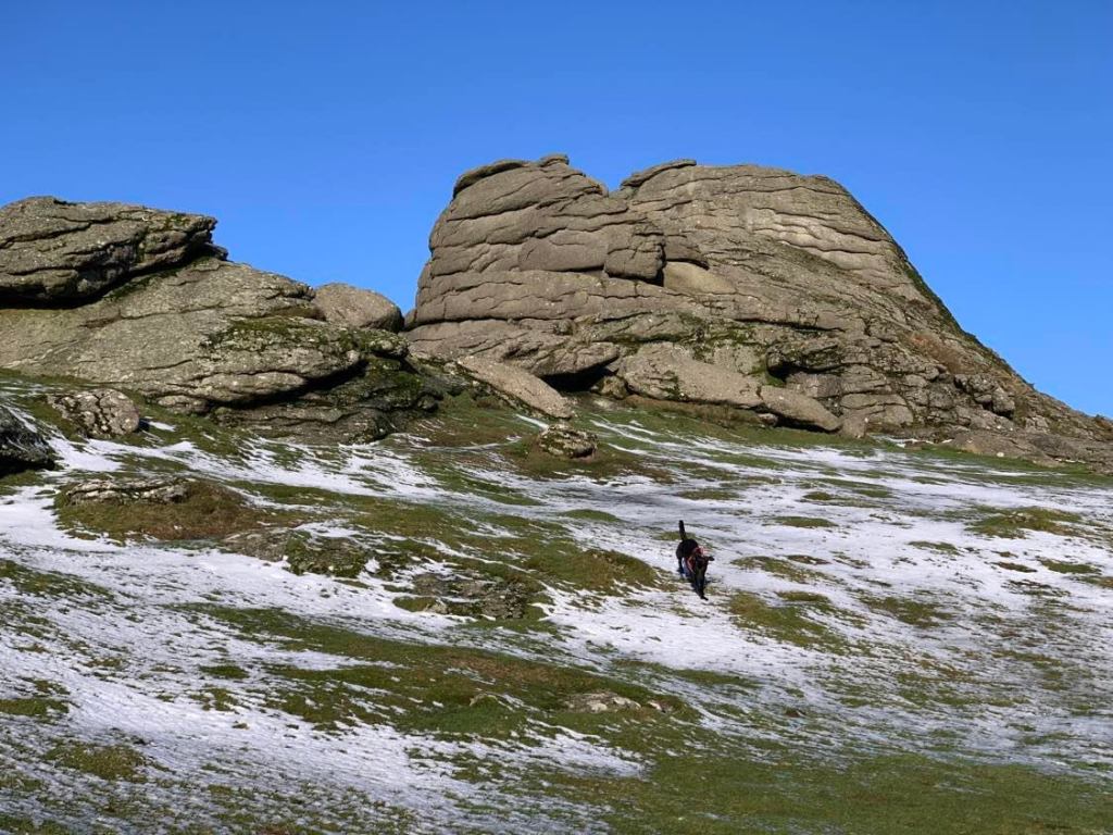 January Blues (other colours are&nbsp;available)